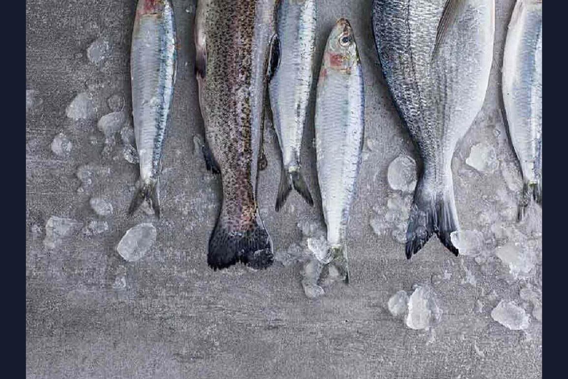 Comment conserver le poisson frais au frigo ?