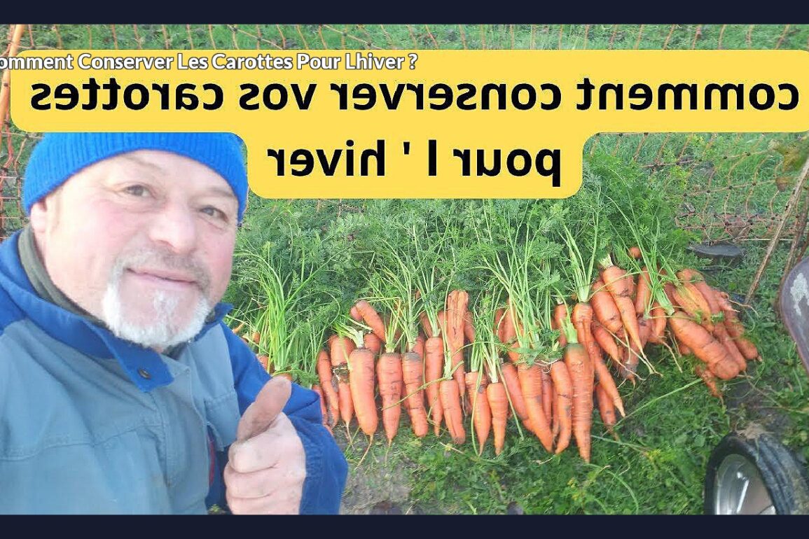 Comment conserver les carottes pour lhiver ?