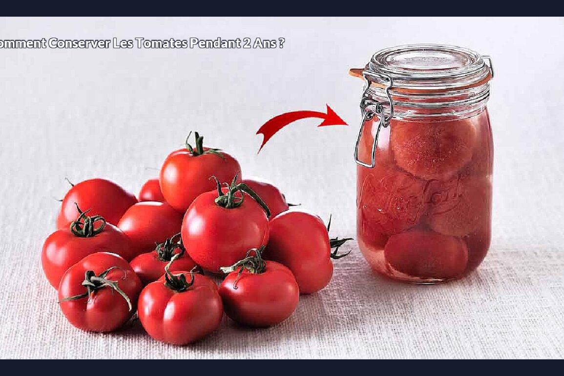 Comment conserver les tomates pendant 2 ans ?