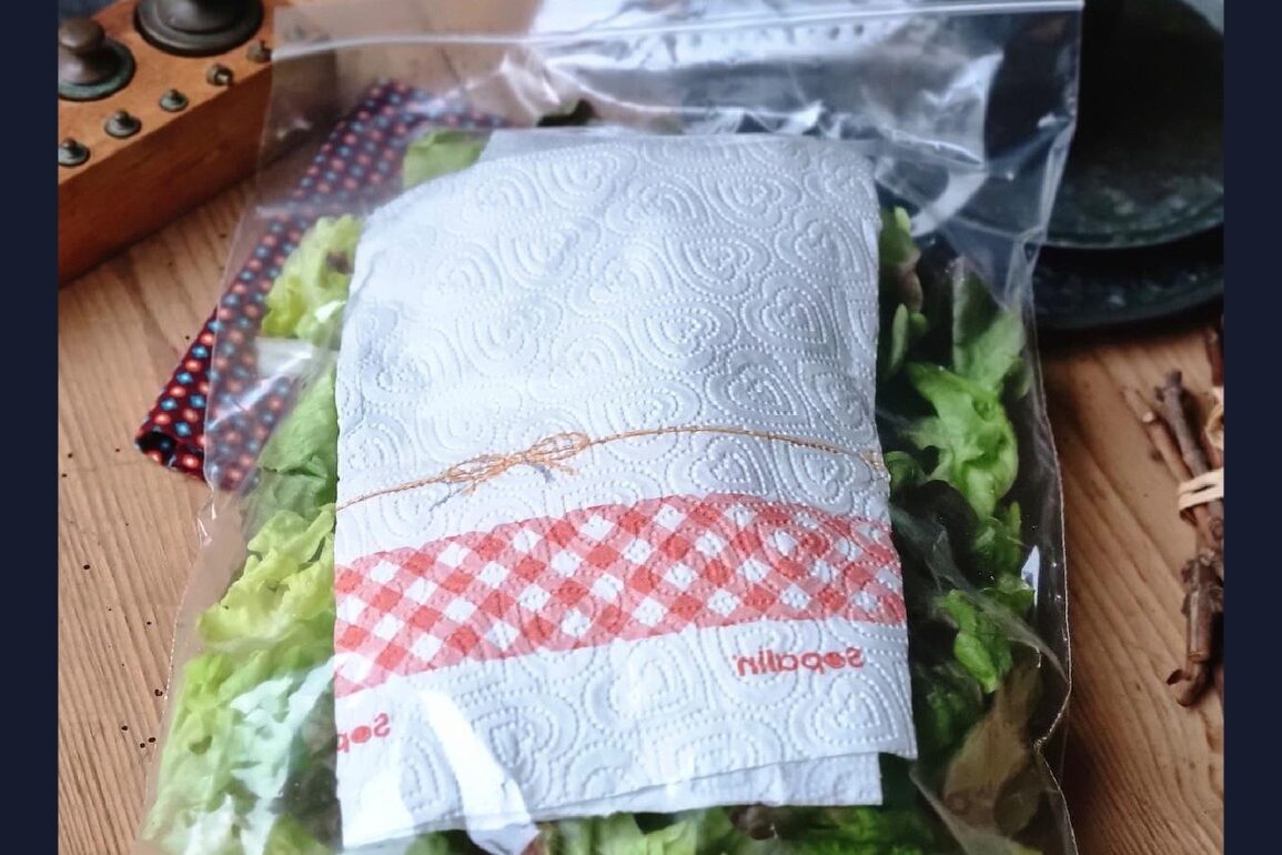 Comment conserver une salade coupé ?
