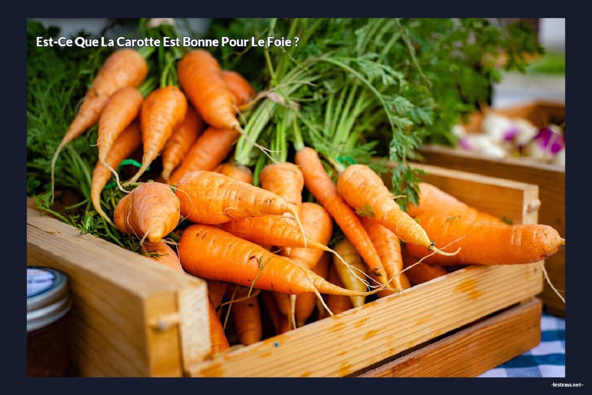 Est-ce que la carotte est bonne pour le foie ?
