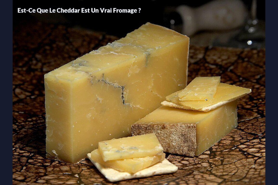 Est-ce que le cheddar est un vrai fromage ?