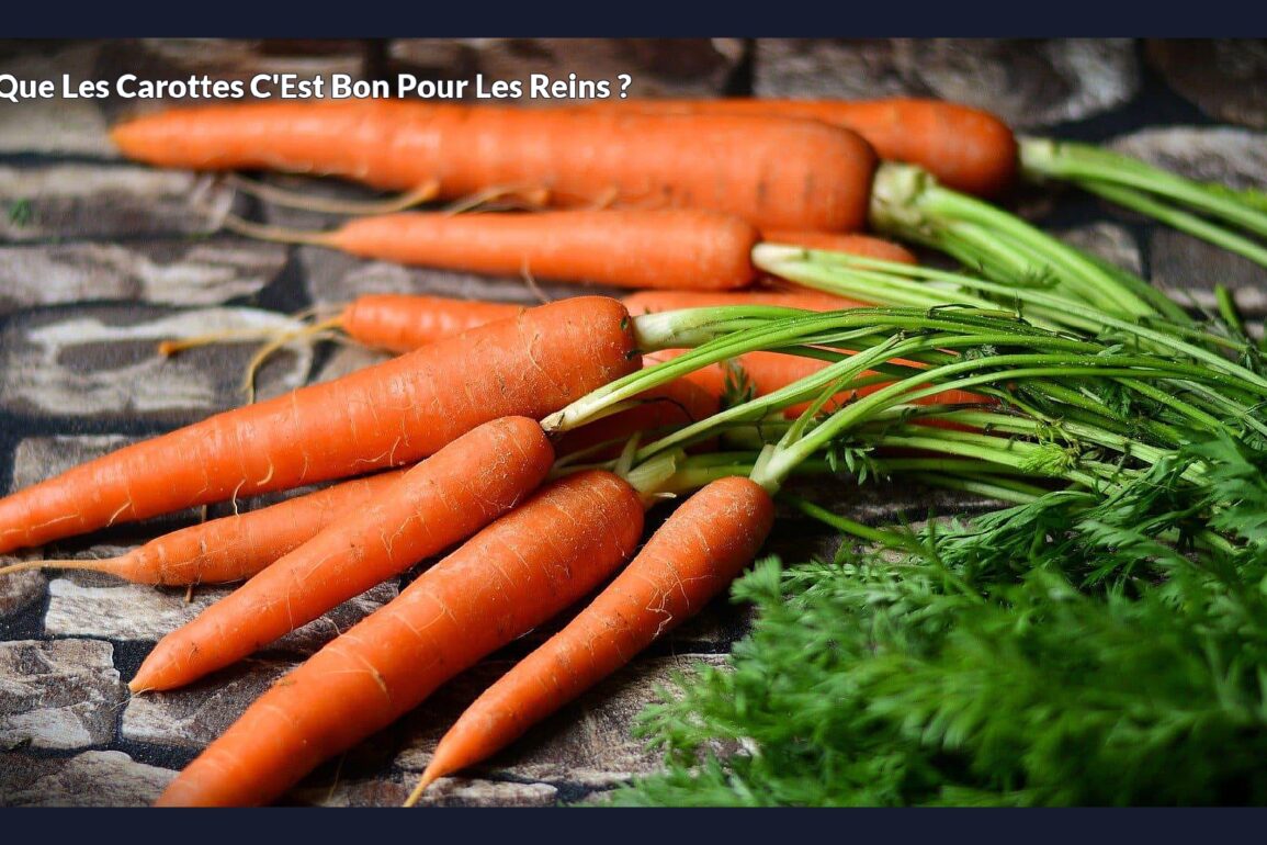 Est-ce que les carottes c'est bon pour les reins ?