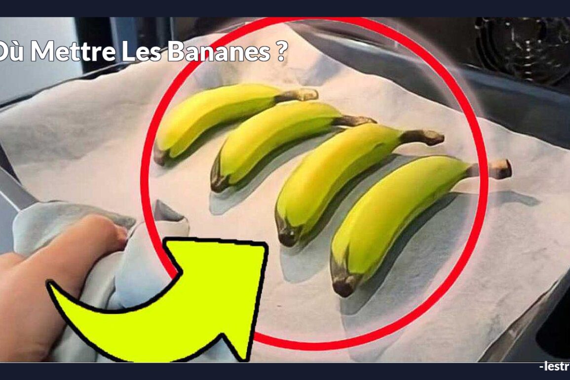 Où mettre les bananes ?