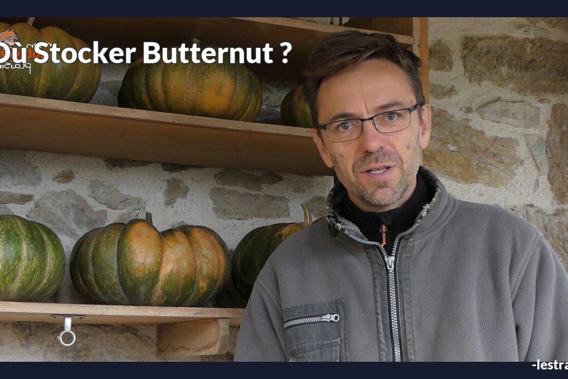 Où stocker butternut ?