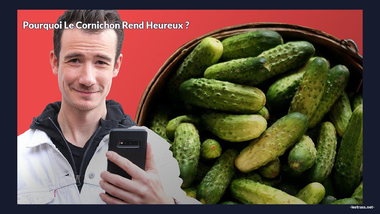 Pourquoi le cornichon rend heureux