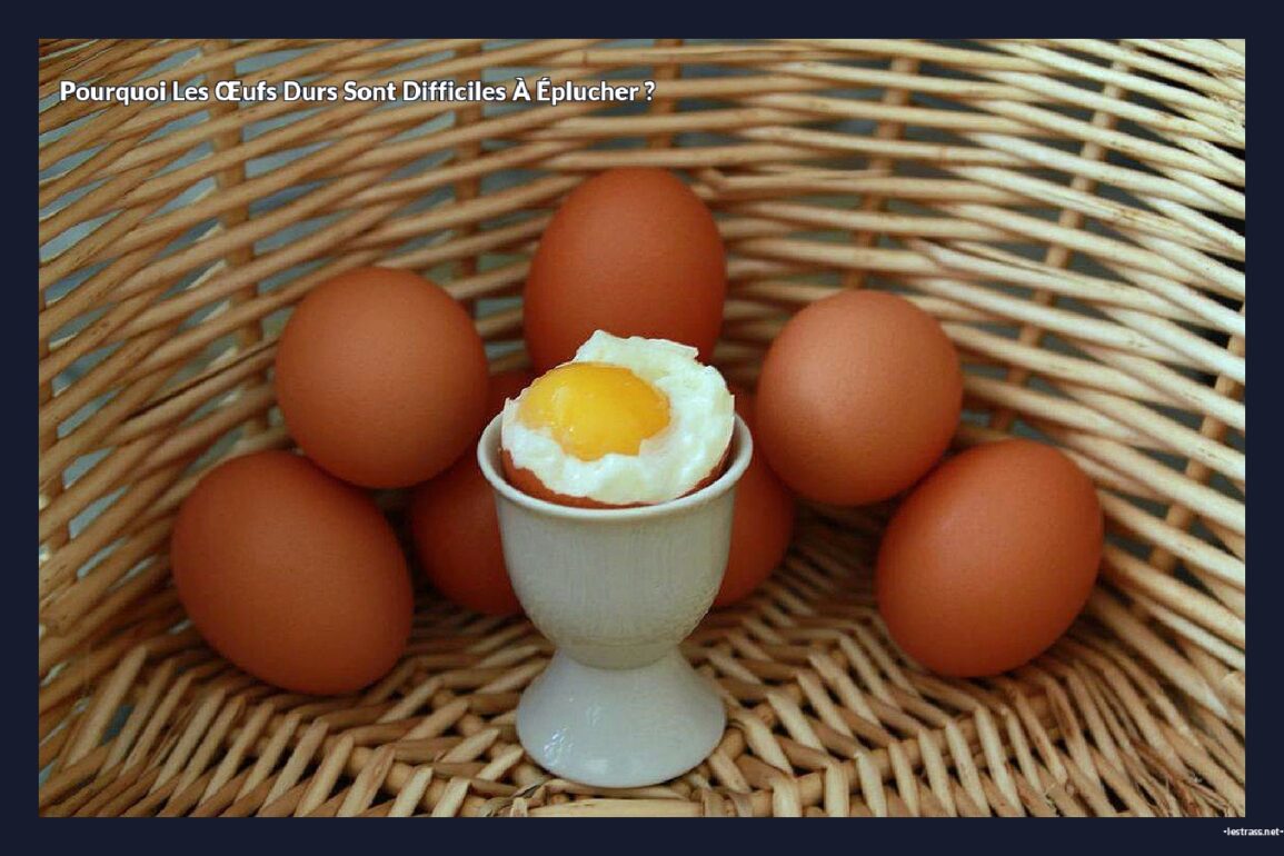 Pourquoi les œufs durs sont difficiles à éplucher ?