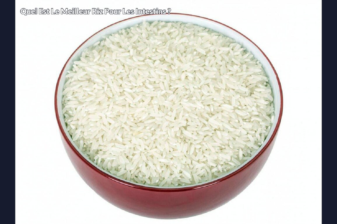 Quel est le meilleur riz pour les intestins ?