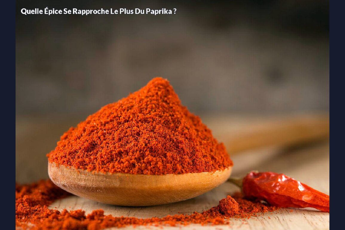 Quelle épice se rapproche le plus du paprika ?