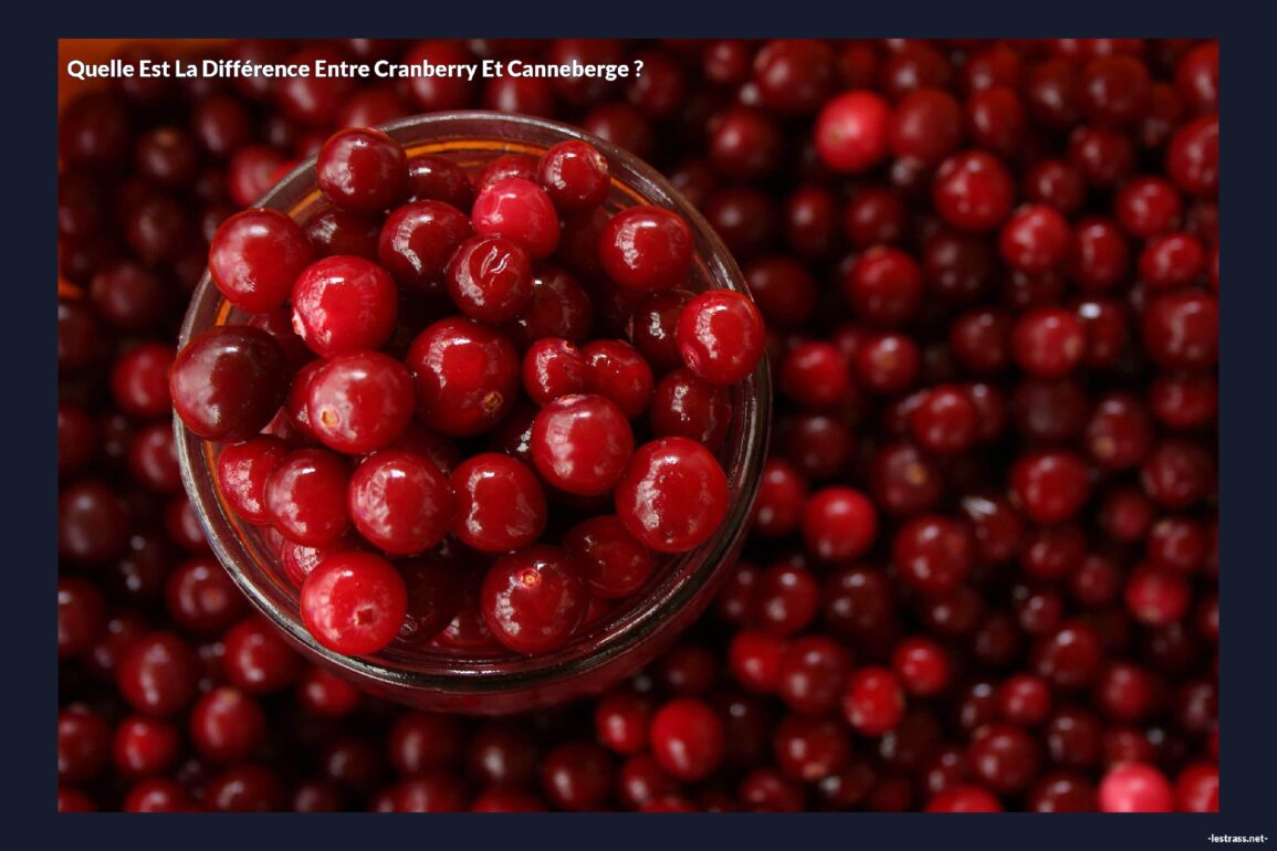 Quelle est la différence entre cranberry et canneberge ?