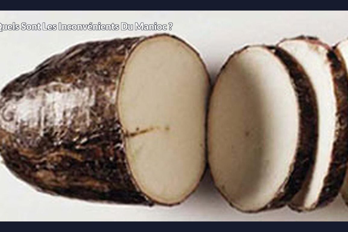 Quels sont les inconvénients du manioc ?