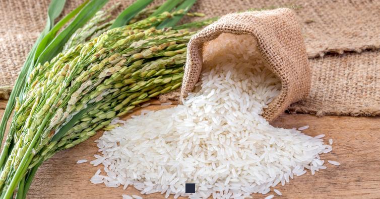 Combien de fois le poids du riz sec augmente-t-il une fois cuit?