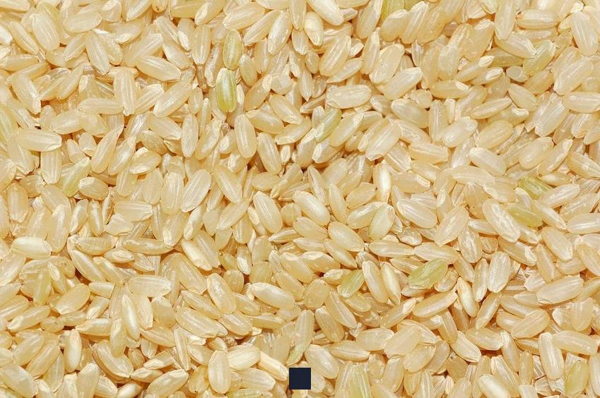 Combien de riz cru pour obtenir 150g cuit ? Découvrez le ratio magique de cuisson !