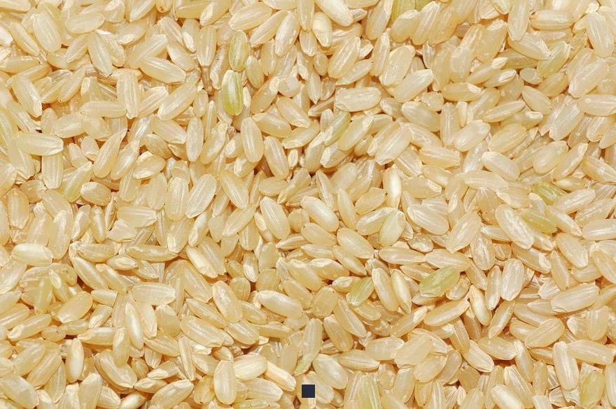 Combien de riz cuit obtenez-vous à partir de riz cru?