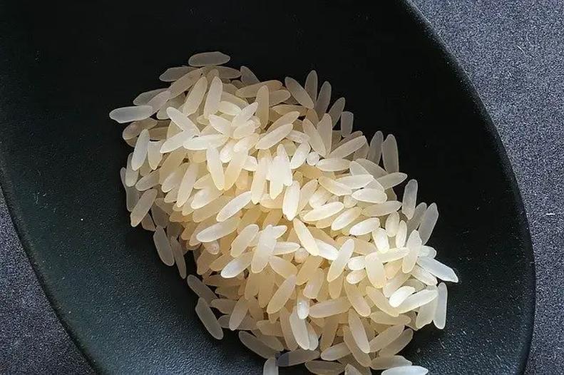 Comment conserver du riz cuit avec style et humour ?