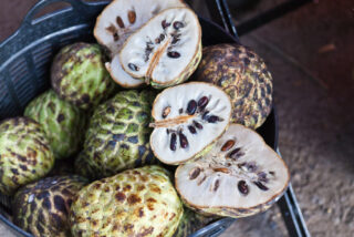 Comment savoir si un cherimoya est mûr ?