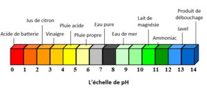 Quel est le ph de la banane ?