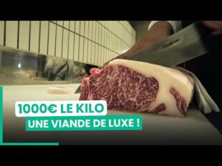 Quelle est la viande la plus chère ?