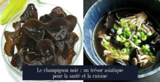 Le champignon noir : un trésor asiatique pour la santé et la cuisine