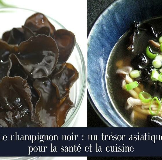 Le champignon noir : un trésor asiatique pour la santé et la cuisine