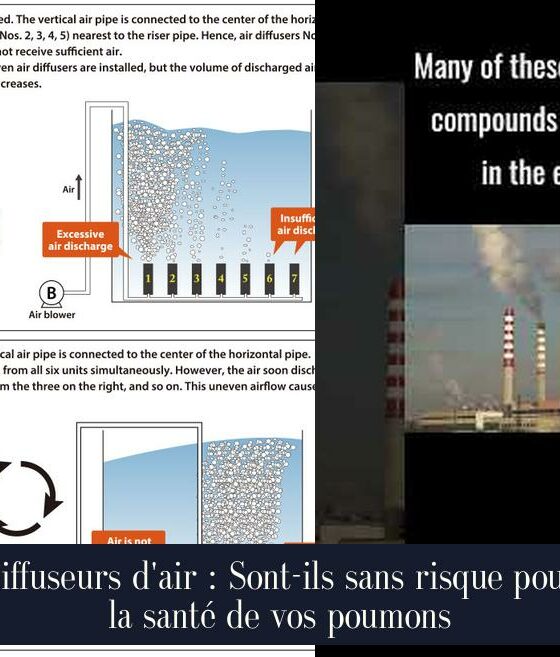 Diffuseurs d'air : Sont-ils sans risque pour la santé de vos poumons