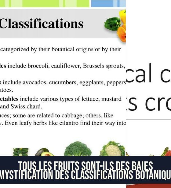 Tous les fruits sont-ils des baies Démystification des classifications botaniques.