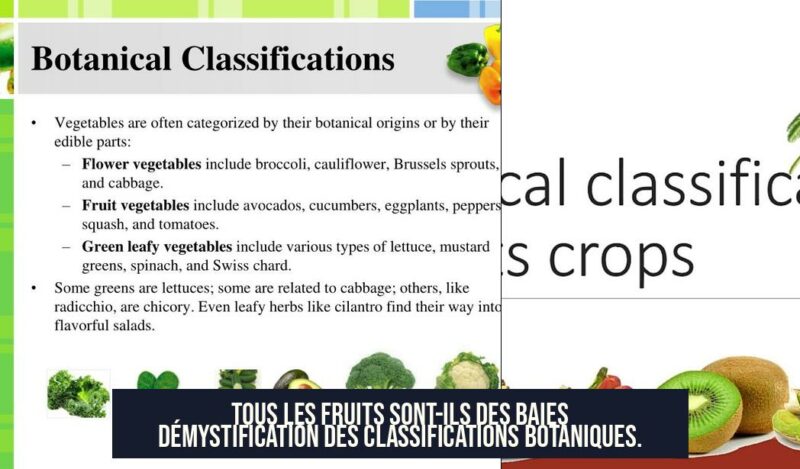 Tous les fruits sont-ils des baies Démystification des classifications botaniques.