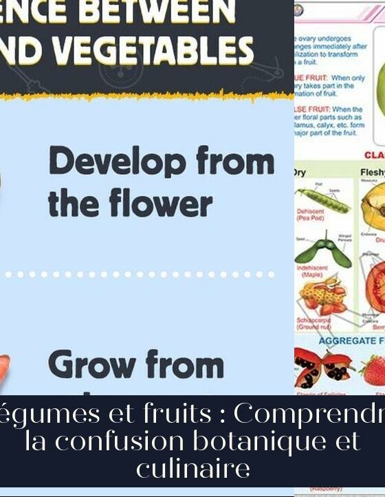 Légumes et fruits : Comprendre la confusion botanique et culinaire