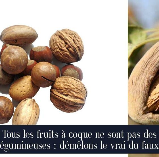 Tous les fruits à coque ne sont pas des légumineuses : démêlons le vrai du faux.
