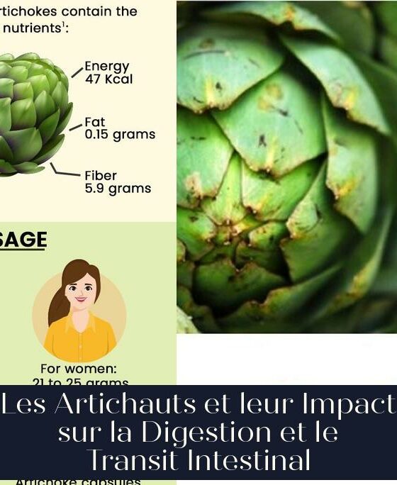 Les Artichauts et leur Impact sur la Digestion et le Transit Intestinal