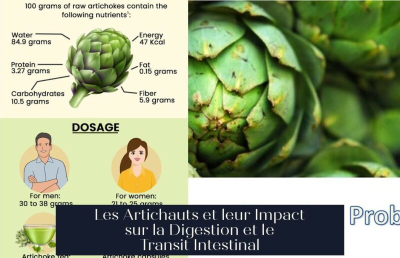 Les Artichauts et leur Impact sur la Digestion et le Transit Intestinal