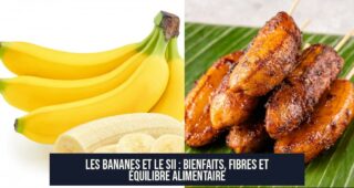 Les Bananes et le SII : Bienfaits, Fibres et Équilibre Alimentaire