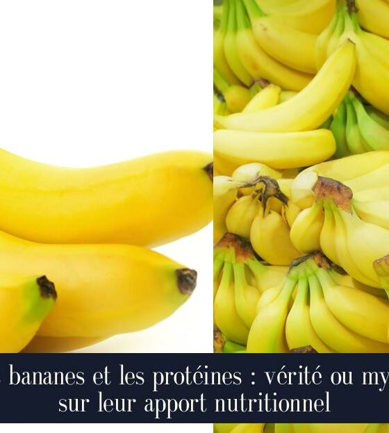 Les bananes et les protéines : vérité ou mythe sur leur apport nutritionnel