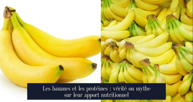 Les bananes et les protéines : vérité ou mythe sur leur apport nutritionnel