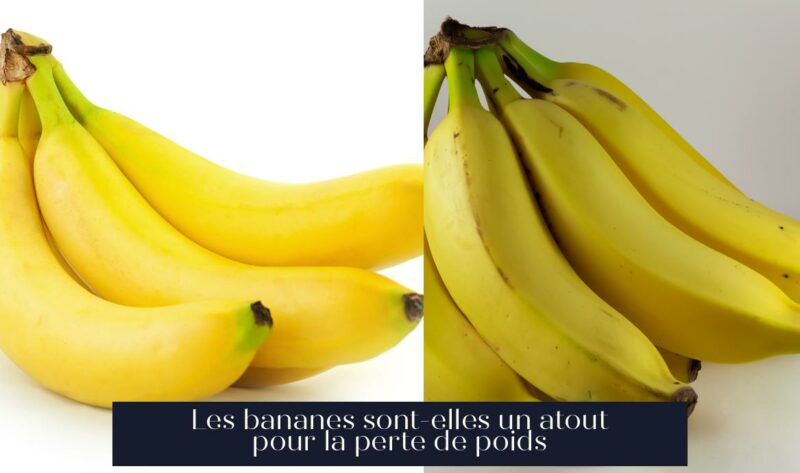 Les bananes sont-elles un atout pour la perte de poids