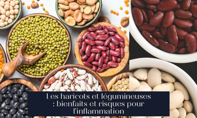Les haricots et légumineuses : bienfaits et risques pour l'inflammation