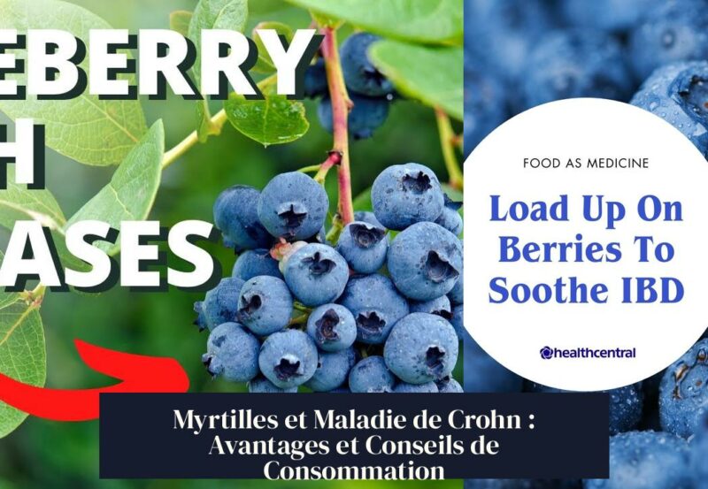 Myrtilles et Maladie de Crohn : Avantages et Conseils de Consommation