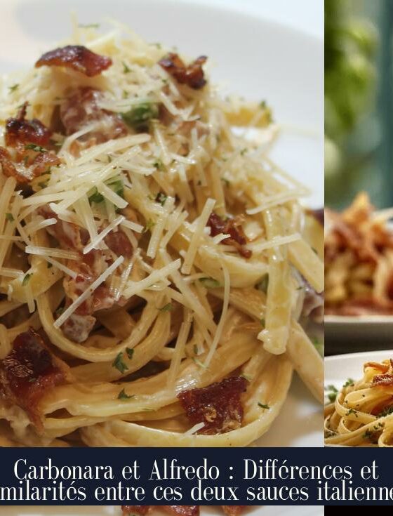 Carbonara et Alfredo : Différences et similarités entre ces deux sauces italiennes
