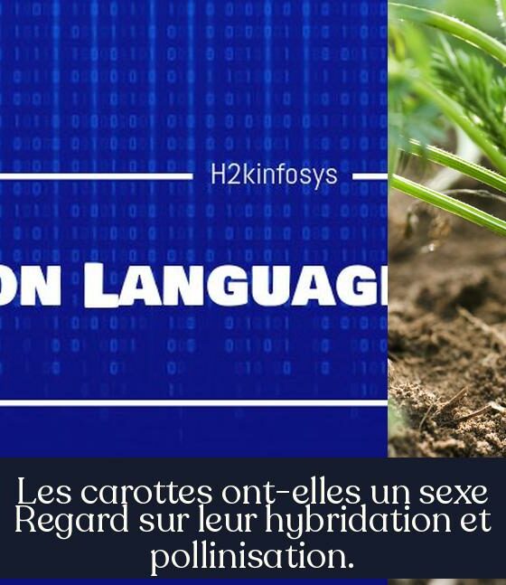 Les carottes ont-elles un sexe Regard sur leur hybridation et pollinisation.