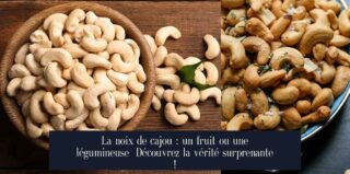 La noix de cajou : un fruit ou une légumineuse Découvrez la vérité surprenante !