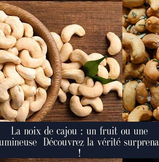 La noix de cajou : un fruit ou une légumineuse Découvrez la vérité surprenante !