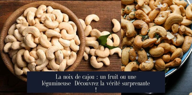 La noix de cajou : un fruit ou une légumineuse Découvrez la vérité surprenante !