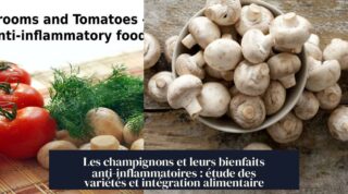 Les champignons et leurs bienfaits anti-inflammatoires : étude des variétés et intégration alimentaire