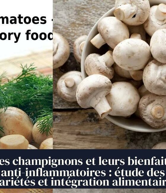 Les champignons et leurs bienfaits anti-inflammatoires : étude des variétés et intégration alimentaire