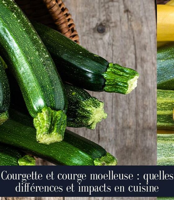 Courgette et courge moelleuse : quelles différences et impacts en cuisine