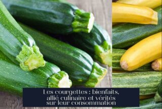 Les courgettes : bienfaits, allié culinaire et vérités sur leur consommation