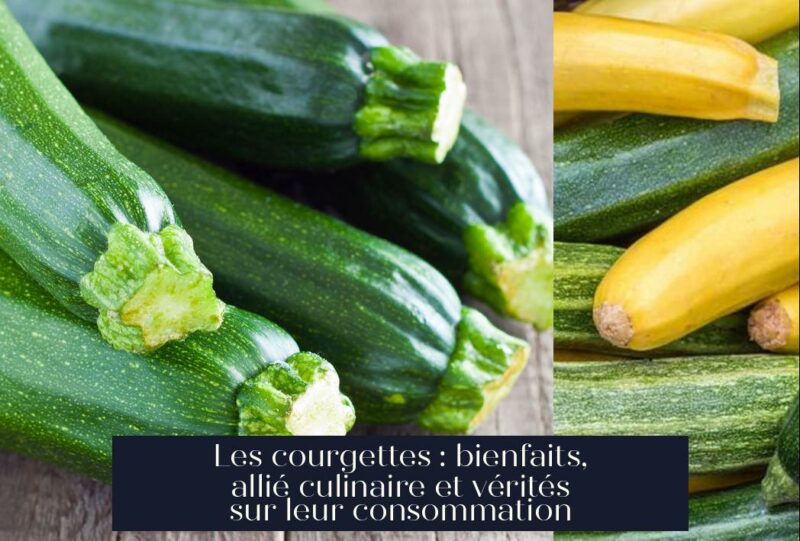 Les courgettes : bienfaits, allié culinaire et vérités sur leur consommation