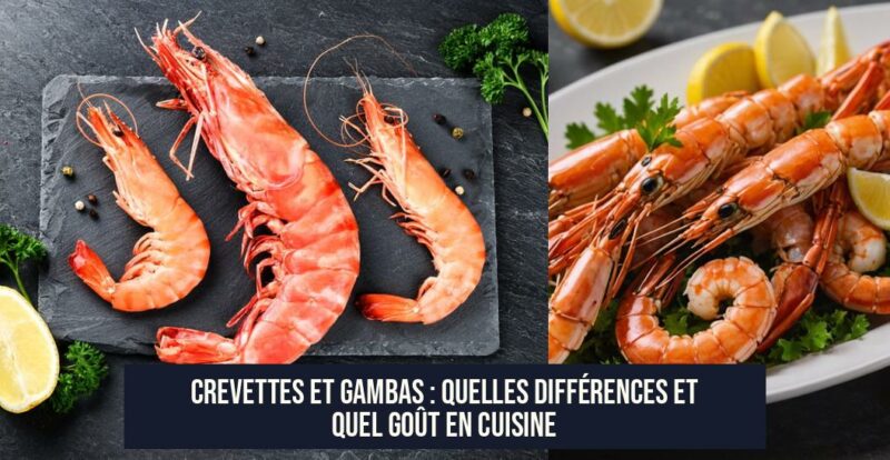 Crevettes et gambas : Quelles différences et quel goût en cuisine