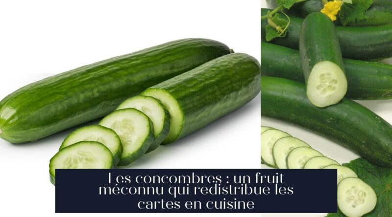 Les concombres : un fruit méconnu qui redistribue les cartes en cuisine