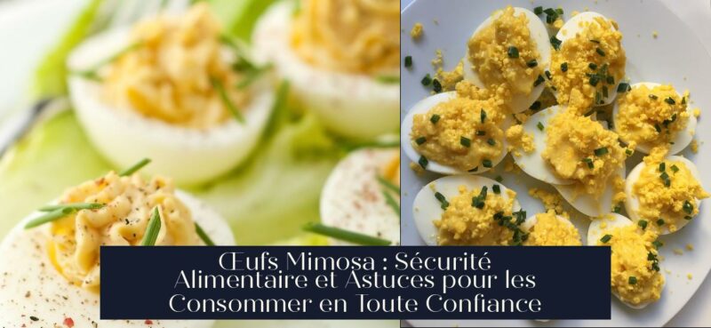 Œufs Mimosa : Sécurité Alimentaire et Astuces pour les Consommer en Toute Confiance